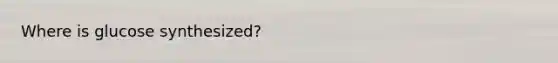 Where is glucose synthesized?
