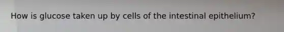 How is glucose taken up by cells of the intestinal epithelium?