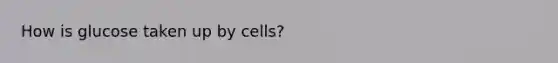 How is glucose taken up by cells?