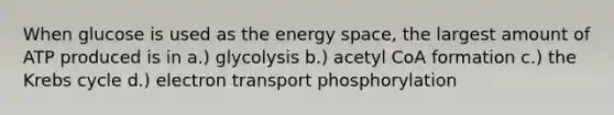 When glucose is used as the energy space, the largest amount of ATP produced is in a.) glycolysis b.) acetyl CoA formation c.) the Krebs cycle d.) electron transport phosphorylation