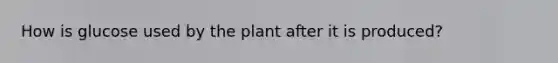 How is glucose used by the plant after it is produced?