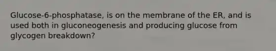 Glucose-6-phosphatase, is on the membrane of the ER, and is used both in gluconeogenesis and producing glucose from glycogen breakdown?