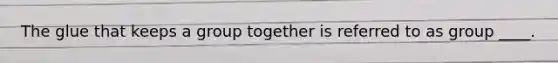 The glue that keeps a group together is referred to as group ____.