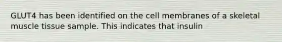 GLUT4 has been identified on the cell membranes of a skeletal <a href='https://www.questionai.com/knowledge/kMDq0yZc0j-muscle-tissue' class='anchor-knowledge'>muscle tissue</a> sample. This indicates that insulin