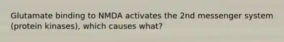 Glutamate binding to NMDA activates the 2nd messenger system (protein kinases), which causes what?