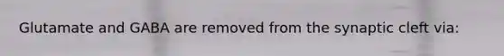 Glutamate and GABA are removed from the synaptic cleft via: