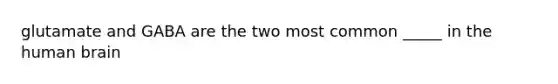 glutamate and GABA are the two most common _____ in the human brain