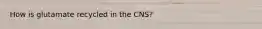 How is glutamate recycled in the CNS?