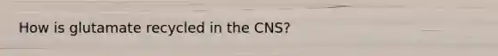 How is glutamate recycled in the CNS?