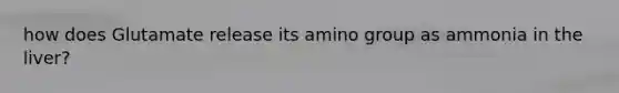 how does Glutamate release its amino group as ammonia in the liver?