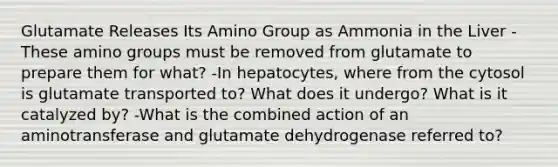 Glutamate Releases Its Amino Group as Ammonia in the Liver -These amino groups must be removed from glutamate to prepare them for what? -In hepatocytes, where from the cytosol is glutamate transported to? What does it undergo? What is it catalyzed by? -What is the combined action of an aminotransferase and glutamate dehydrogenase referred to?