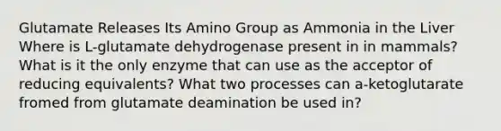 Glutamate Releases Its Amino Group as Ammonia in the Liver Where is L-glutamate dehydrogenase present in in mammals? What is it the only enzyme that can use as the acceptor of reducing equivalents? What two processes can a-ketoglutarate fromed from glutamate deamination be used in?