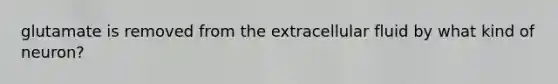 glutamate is removed from the extracellular fluid by what kind of neuron?