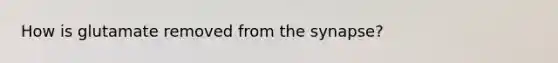 How is glutamate removed from the synapse?