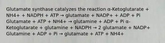 Glutamate synthase catalyzes the reaction α-Ketoglutarate + NH4+ + NADPH + ATP → glutamate + NADP+ + ADP + Pi Glutamate + ATP + NH4+ → glutamine + ADP + Pi α-Ketoglutarate + glutamine + NADPH → 2 glutamate + NADP+ Glutamine + ADP + Pi → glutamate + ATP + NH4+