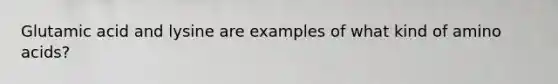 Glutamic acid and lysine are examples of what kind of <a href='https://www.questionai.com/knowledge/k9gb720LCl-amino-acids' class='anchor-knowledge'>amino acids</a>?