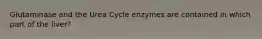 Glutaminase and the Urea Cycle enzymes are contained in which part of the liver?