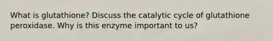 What is glutathione? Discuss the catalytic cycle of glutathione peroxidase. Why is this enzyme important to us?