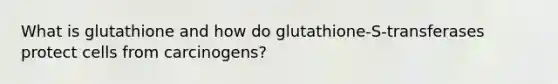 What is glutathione and how do glutathione-S-transferases protect cells from carcinogens?