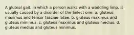 A gluteal gait, in which a person walks with a waddling limp, is usually caused by a disorder of the Select one: a. gluteus maximus and tensor fasciae latae. b. gluteus maximus and gluteus minimus. c. gluteus maximus and gluteus medius. d. gluteus medius and gluteus minimus.