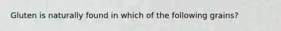 Gluten is naturally found in which of the following grains?