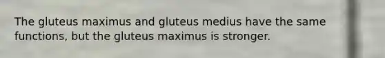 The gluteus maximus and gluteus medius have the same functions, but the gluteus maximus is stronger.