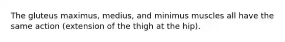 The gluteus maximus, medius, and minimus muscles all have the same action (extension of the thigh at the hip).