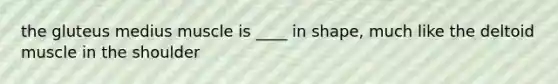 the gluteus medius muscle is ____ in shape, much like the deltoid muscle in the shoulder