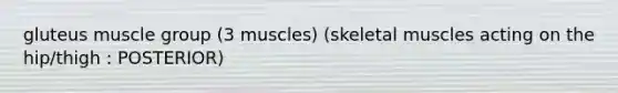 gluteus muscle group (3 muscles) (skeletal muscles acting on the hip/thigh : POSTERIOR)