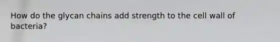 How do the glycan chains add strength to the cell wall of bacteria?