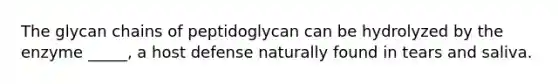 The glycan chains of peptidoglycan can be hydrolyzed by the enzyme _____, a host defense naturally found in tears and saliva.