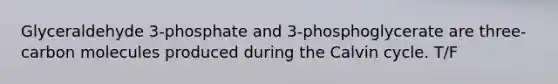 Glyceraldehyde 3-phosphate and 3-phosphoglycerate are three-carbon molecules produced during the Calvin cycle. T/F