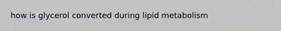 how is glycerol converted during lipid metabolism