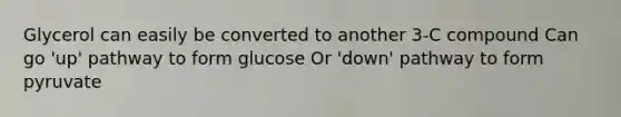 Glycerol can easily be converted to another 3-C compound Can go 'up' pathway to form glucose Or 'down' pathway to form pyruvate