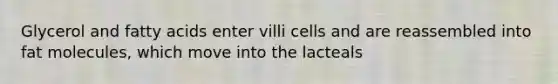 Glycerol and fatty acids enter villi cells and are reassembled into fat molecules, which move into the lacteals