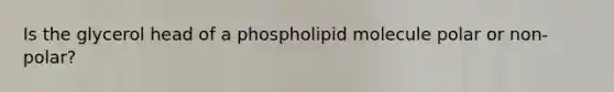 Is the glycerol head of a phospholipid molecule polar or non-polar?