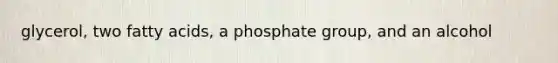 glycerol, two fatty acids, a phosphate group, and an alcohol