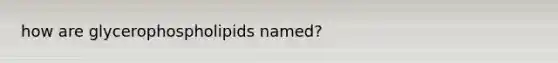 how are glycerophospholipids named?