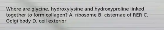 Where are glycine, hydroxylysine and hydroxyproline linked together to form collagen? A. ribosome B. cisternae of RER C. Golgi body D. cell exterior