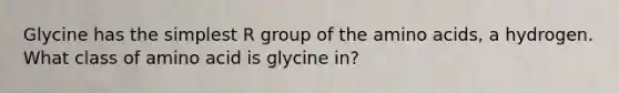 Glycine has the simplest R group of the amino acids, a hydrogen. What class of amino acid is glycine in?