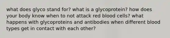 what does glyco stand for? what is a glycoprotein? how does your body know when to not attack red blood cells? what happens with glycoproteins and antibodies when different blood types get in contact with each other?