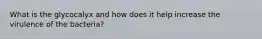 What is the glycocalyx and how does it help increase the virulence of the bacteria?