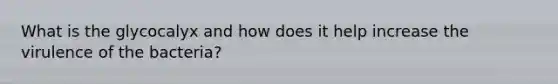 What is the glycocalyx and how does it help increase the virulence of the bacteria?