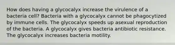 How does having a glycocalyx increase the virulence of a bacteria cell? Bacteria with a glycocalyx cannot be phagocytized by immune cells. The glycocalyx speeds up asexual reproduction of the bacteria. A glycocalyx gives bacteria antibiotic resistance. The glycocalyx increases bacteria motility.