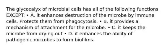 The glycocalyx of microbial cells has all of the following functions EXCEPT: • A. it enhances destruction of the microbe by immune cells. Protects them from phagocytosis. • B. it provides a mechanism of attachment for the microbe. • C. it keeps the microbe from drying out • D. it enhances the ability of pathogenic microbes to form biofilms.