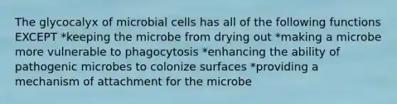 The glycocalyx of microbial cells has all of the following functions EXCEPT *keeping the microbe from drying out *making a microbe more vulnerable to phagocytosis *enhancing the ability of pathogenic microbes to colonize surfaces *providing a mechanism of attachment for the microbe