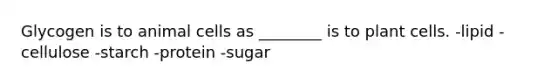 Glycogen is to animal cells as ________ is to plant cells. -lipid -cellulose -starch -protein -sugar