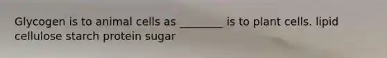 Glycogen is to animal cells as ________ is to plant cells. lipid cellulose starch protein sugar