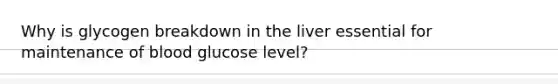 Why is glycogen breakdown in the liver essential for maintenance of blood glucose level?