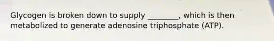 Glycogen is broken down to supply ________, which is then metabolized to generate adenosine triphosphate (ATP).